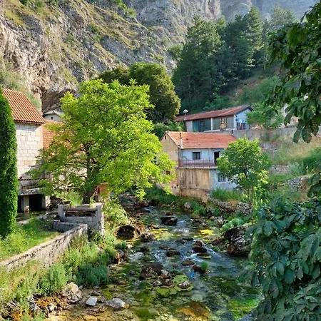 Cincar Apartament