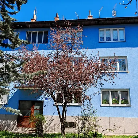 Cincar Apartament